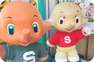豊富な実績とノウハウを還元